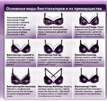 Основные модели бюстгалтеров Основные модели бюстгалтеров